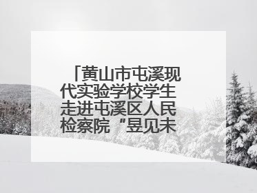 黄山市屯溪现代实验学校学生走进屯溪区人民检察院“昱见未来”青少年法治教育宣传基地