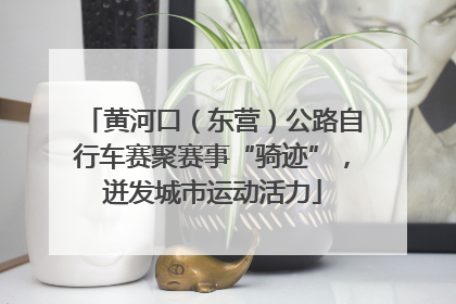 黄河口（东营）公路自行车赛聚赛事“骑迹”，迸发城市运动活力