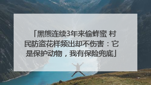 黑熊连续3年来偷蜂蜜 村民防盗花样频出却不伤害：它是保护动物，我有保险兜底