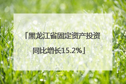 黑龙江省固定资产投资同比增长15.2%