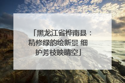 黑龙江省桦南县：精修绿韵绘新景 细护芳枝映晴空