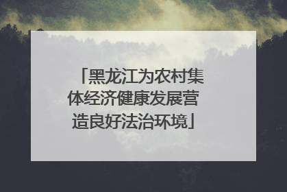黑龙江为农村集体经济健康发展营造良好法治环境