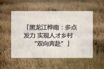 黑龙江桦南：多点发力 实现人才乡村“双向奔赴”