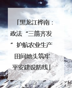 黑龙江桦南：政法“三箭齐发”护航农业生产 田间地头筑牢平安建设防线