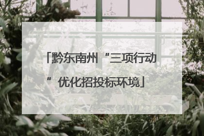 黔东南州“三项行动”优化招投标环境