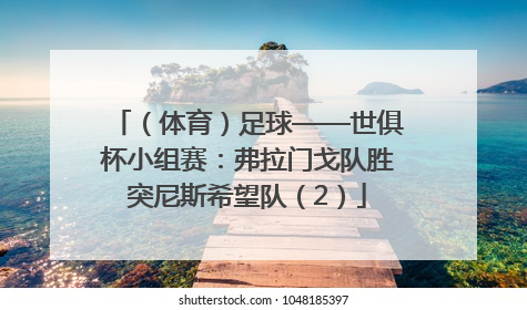 （体育）足球——世俱杯小组赛：弗拉门戈队胜突尼斯希望队（2）
