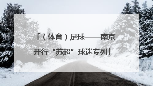 （体育）足球——南京开行“苏超”球迷专列