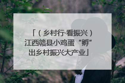 （乡村行·看振兴）江西赣县小鸡蛋“孵”出乡村振兴大产业