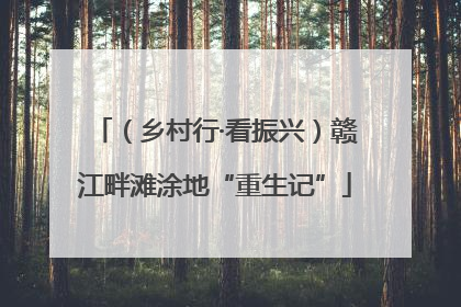 （乡村行·看振兴）赣江畔滩涂地“重生记”