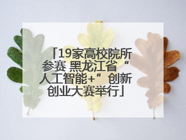 19家高校院所参赛 黑龙江省“人工智能+”创新创业大赛举行
