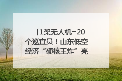 1架无人机=20个巡查员！山东低空经济“硬核王炸”亮相青岛，下一个万亿赛道藏在这里