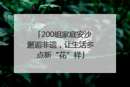 200组家庭安沙邂逅非遗，让生活多点新“花”样