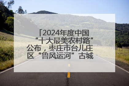 2024年度中国“十大最美农村路”公布，枣庄市台儿庄区“鲁风运河”古城文化廊道上榜！