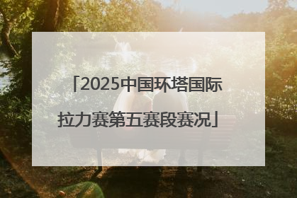 2025中国环塔国际拉力赛第五赛段赛况