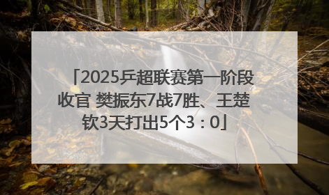 2025乒超联赛第一阶段收官 樊振东7战7胜、王楚钦3天打出5个3∶0