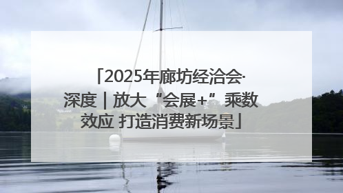 2025年廊坊经洽会·深度｜放大“会展+”乘数效应 打造消费新场景