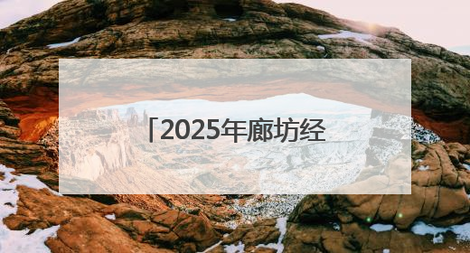 2025年廊坊经洽会：小箱包“圈粉”大咖 县域特色产业快速出海