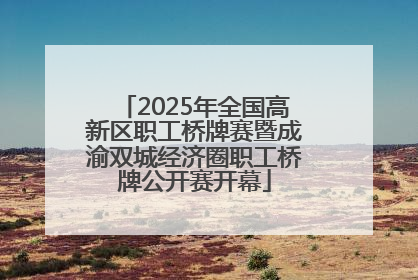 2025年全国高新区职工桥牌赛暨成渝双城经济圈职工桥牌公开赛开幕