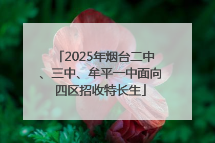 2025年烟台二中、三中、牟平一中面向四区招收特长生