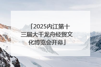 2025内江第十三届大千龙舟经贸文化博览会开幕