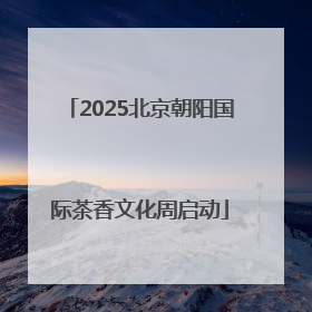 2025北京朝阳国际茶香文化周启动