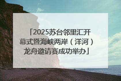 2025苏台邻里汇开幕式暨海峡两岸（洋河）龙舟邀请赛成功举办