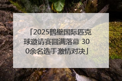 2025鹤壁国际匹克球邀请赛圆满落幕 300余名选手激情对决