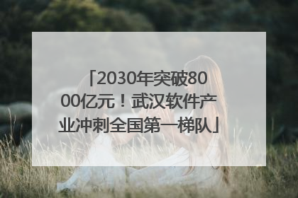 2030年突破8000亿元！武汉软件产业冲刺全国第一梯队