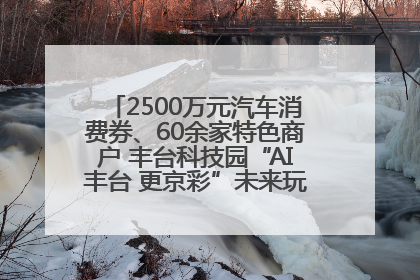 2500万元汽车消费券、60余家特色商户 丰台科技园“AI丰台 更京彩”未来玩家市集活动正式开幕
