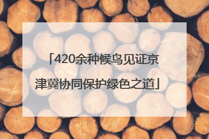 420余种候鸟见证京津冀协同保护绿色之道