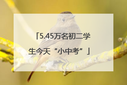 5.45万名初二学生今天“小中考”