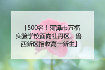 500名！菏泽市万福实验学校面向牡丹区、鲁西新区招收高一新生