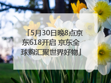 5月30日晚8点京东618开启 京东全球购汇聚世界好物