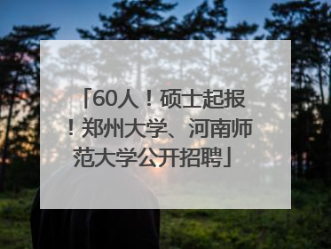 60人！硕士起报！郑州大学、河南师范大学公开招聘