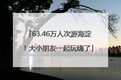 63.46万人次游海淀！大小朋友一起玩嗨了
