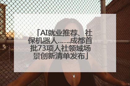 AI就业推荐、社保机器人……成都首批73项人社领域场景创新清单发布