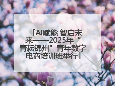AI赋能 智启未来——2025年“青耘锦州”青年数字电商培训班举行