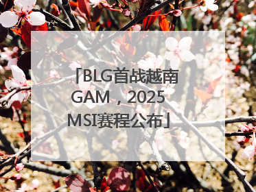 BLG首战越南GAM，2025MSI赛程公布