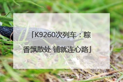 K9260次列车：粽香飘散处 铺就连心路